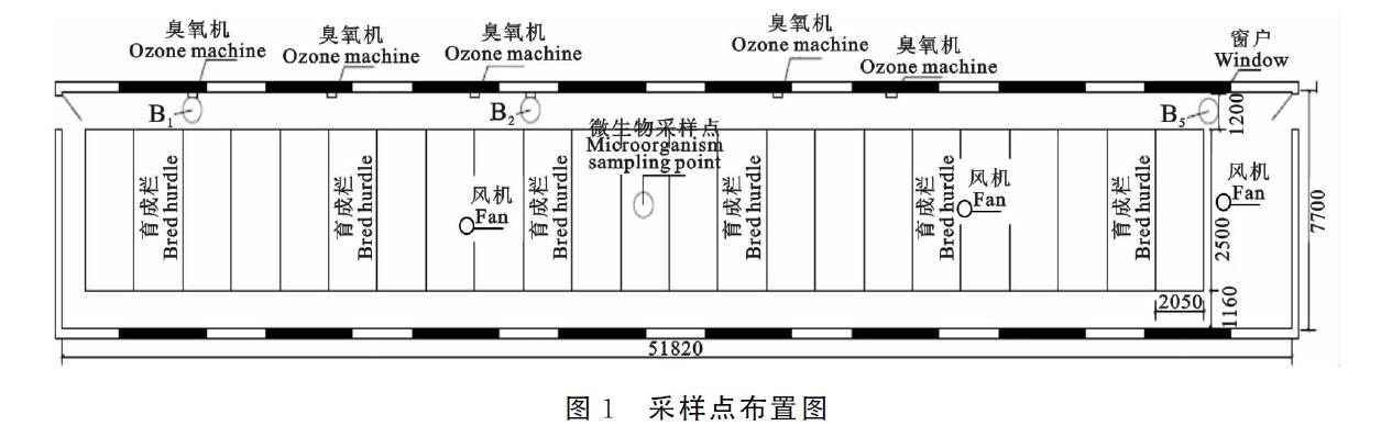 臭氧機(jī)放豬舍進(jìn)行臭氧消毒會不會對豬有影響(圖1)
