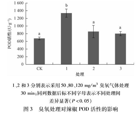 臭氧對辣椒種子萌發(fā)及生理指標(biāo)的影響